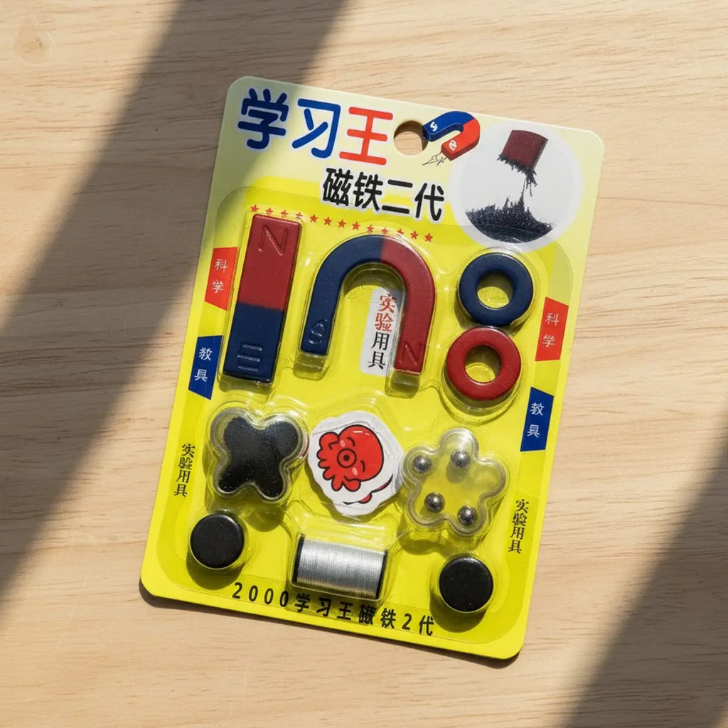 Educational Magnet Set – Physics Science Kit with Bar, Ring & Horseshoe Magnets for Kids