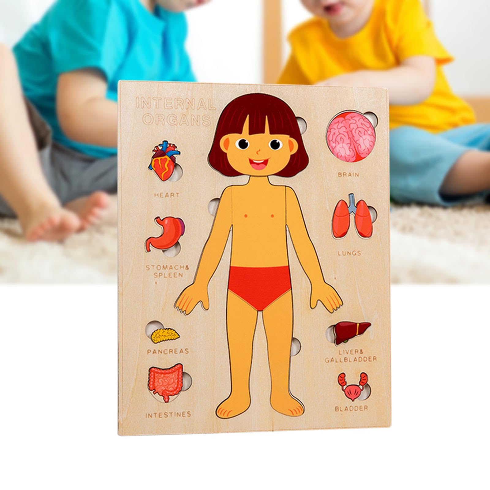Montessori Wooden Human Body Anatomy Puzzle – Removable Organ Pieces for Kids