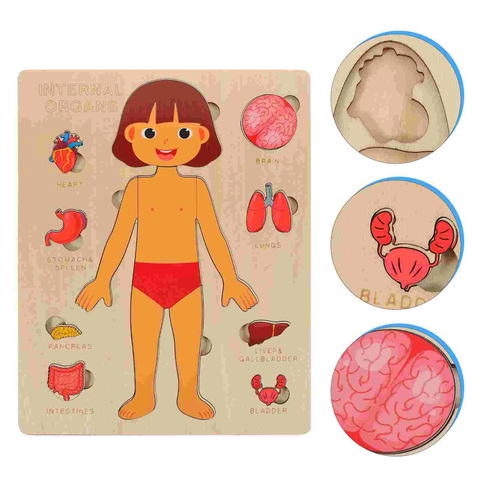 Montessori Wooden Human Body Anatomy Puzzle – Removable Organ Pieces for Kids