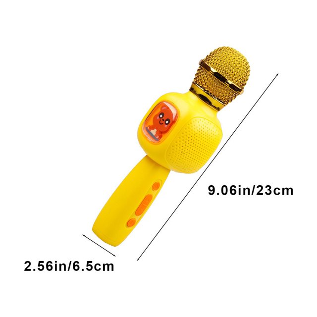 Electronic Children's Microphone Toy Ages 1-12 | Educational Learning Toy